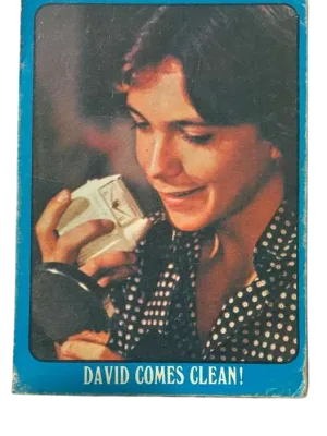 David Comes Clean   The Partridge Family Front