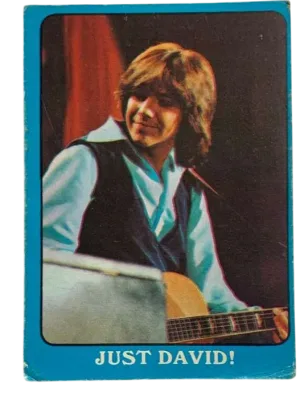Just David!   The Partridge Family Front