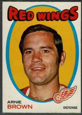 1971-72 O-Pee-Chee Arnie Brown #14 Detroit Red Wings (EX)