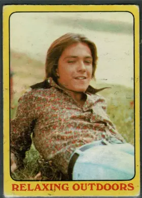 1971 O-Pee-Chee Partridge Family #23 "Relaxing Outdoors" David Cassidy Bio Back Yellow Series 1