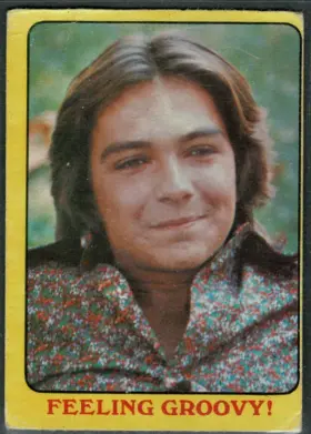 1971 O-Pee-Chee Partridge Family #39 "Feeling Groovy!" David Cassidy Vital Statistics Bio Back Yellow Series 1