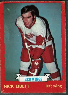 1973-74 O-Pee-Chee Nick Libett #49 Detroit Red Wings Left Wing