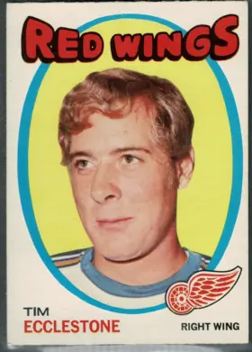 1971-72 O-Pee-Chee Tim Ecclestone #52 Detroit Red Wings