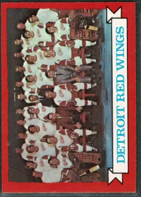 1973-74 O-Pee-Chee Detroit Red Wings Team #97 Team Records Checklist Card