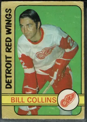 1972-73 O-Pee-Chee Bill Collins #265 Detroit Red Wings VG-EX 4