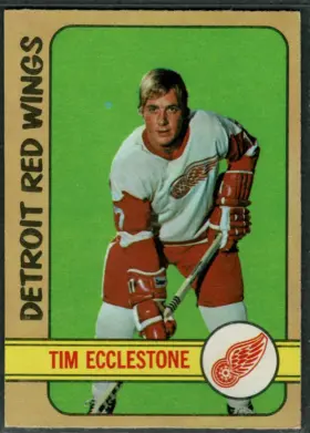 1972 O-Pee-Chee Tim Ecclestone #55 Detroit Red Wings